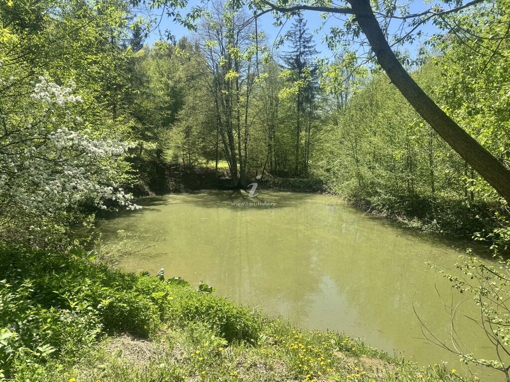 Cabana La Mitică