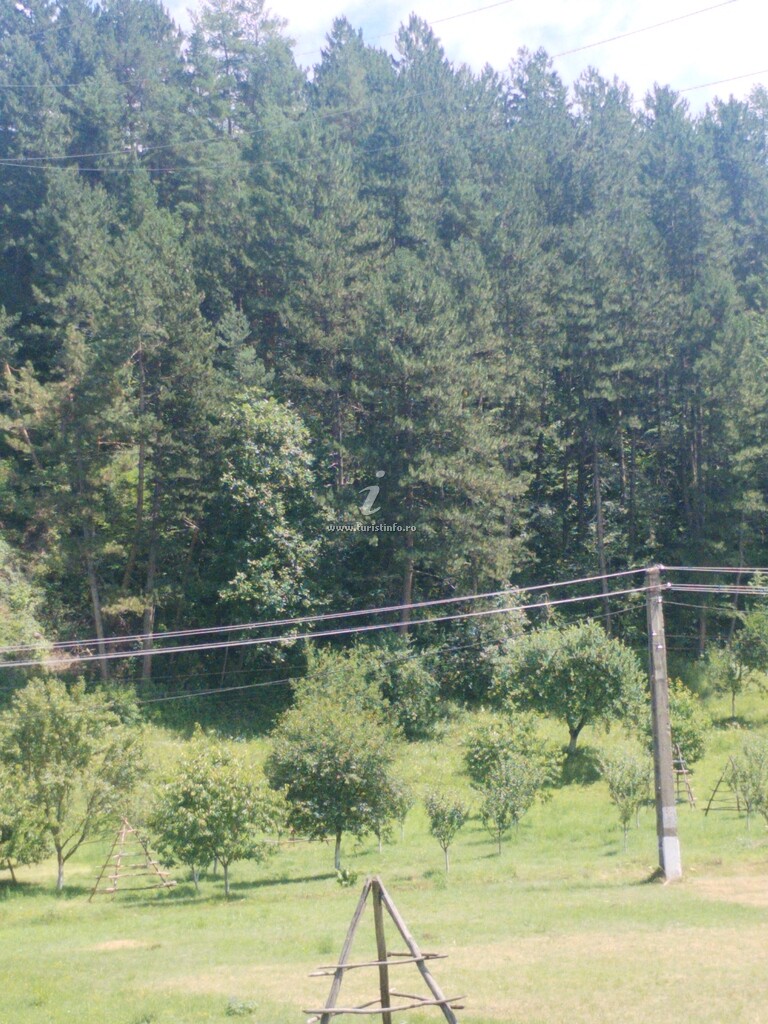 Vila Cristal