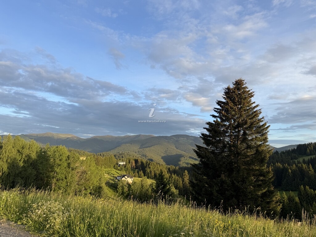 Pensiunea Heaven