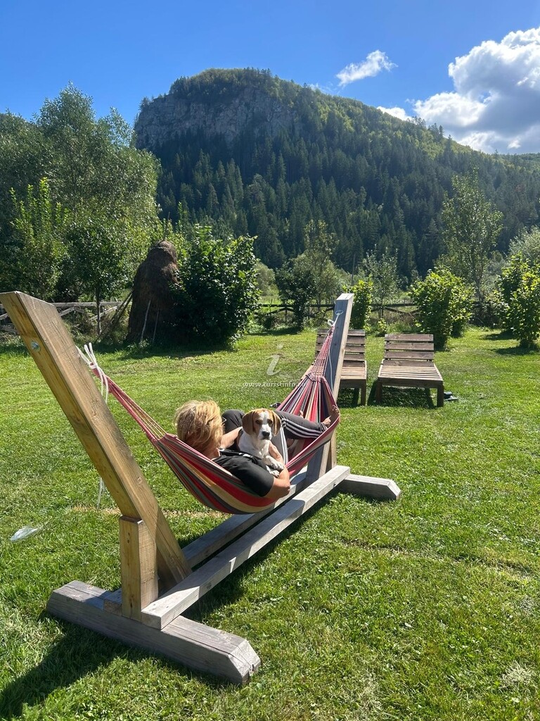 Cabana de la Țară