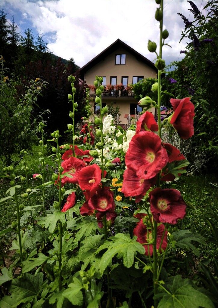 Vila Mădălina