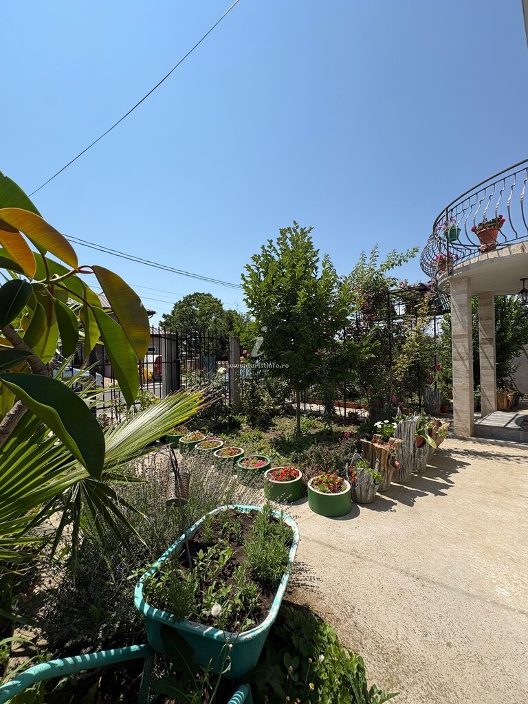 Vila Alb de Vară