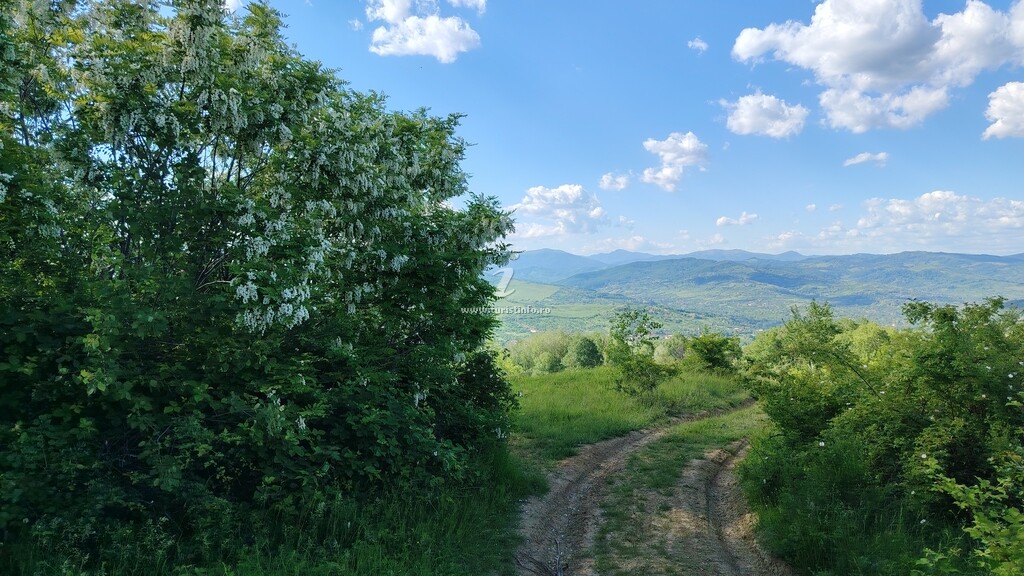 Cabana Dom cu Vederi Spectaculoase