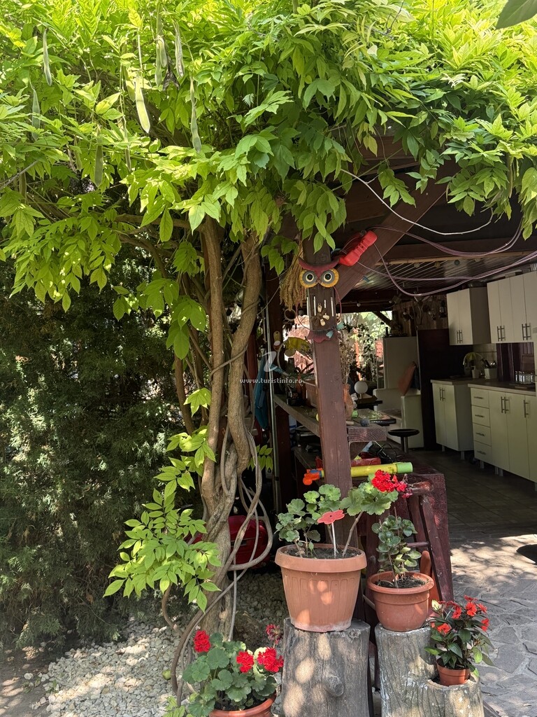 Casa Rustic