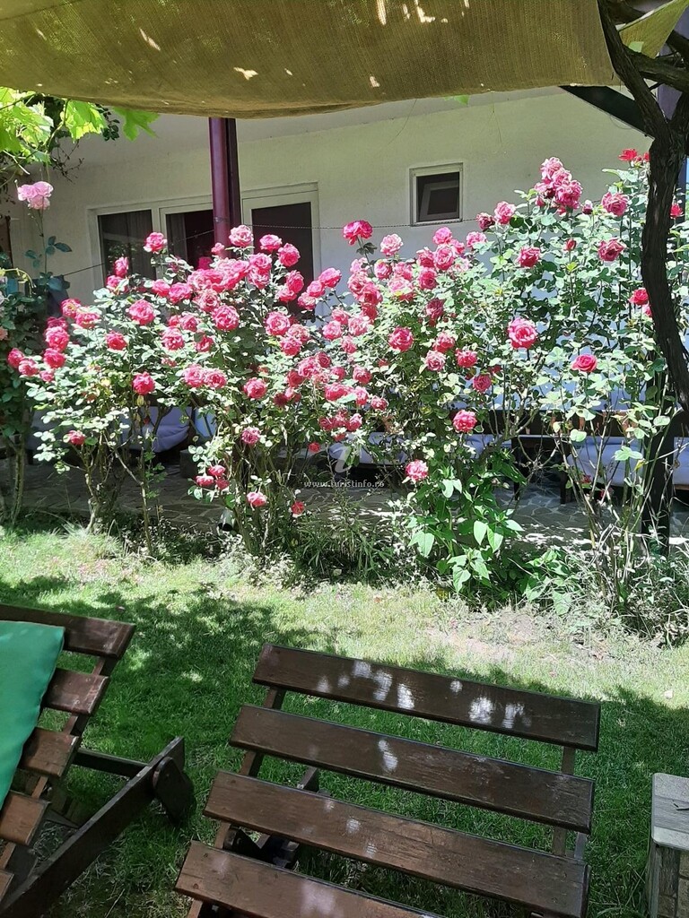 Casa Rustic