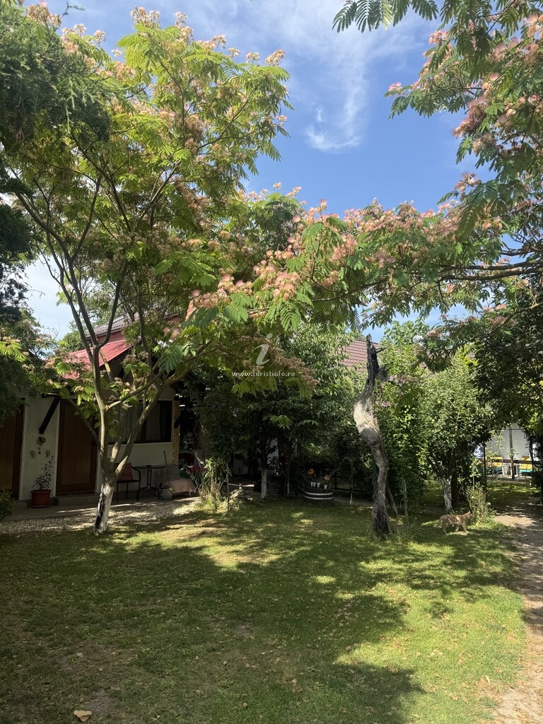 Casa Rustic