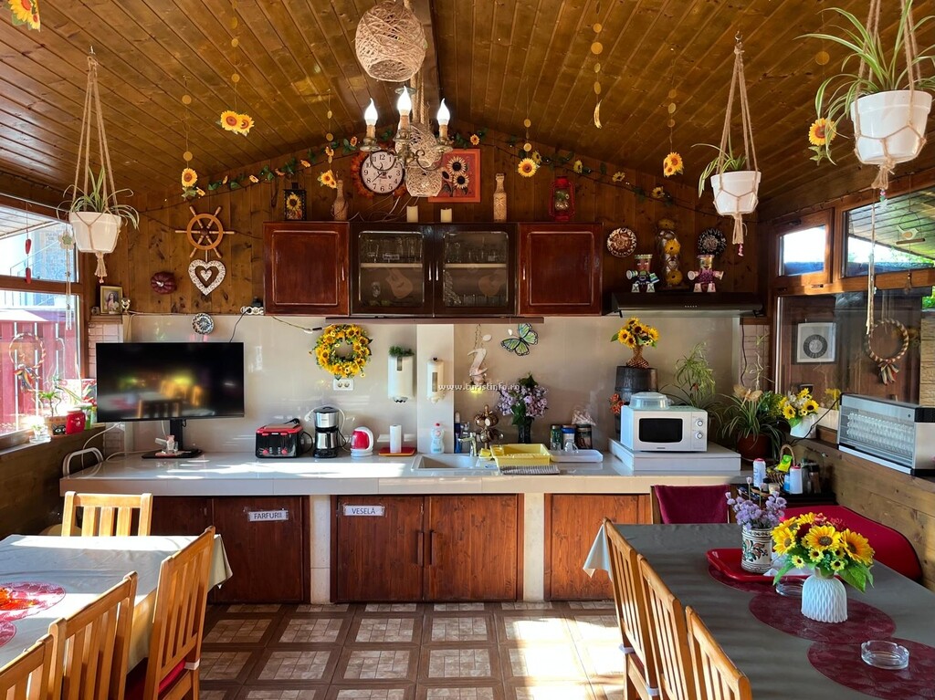 Casa de vacanță Casa Karol