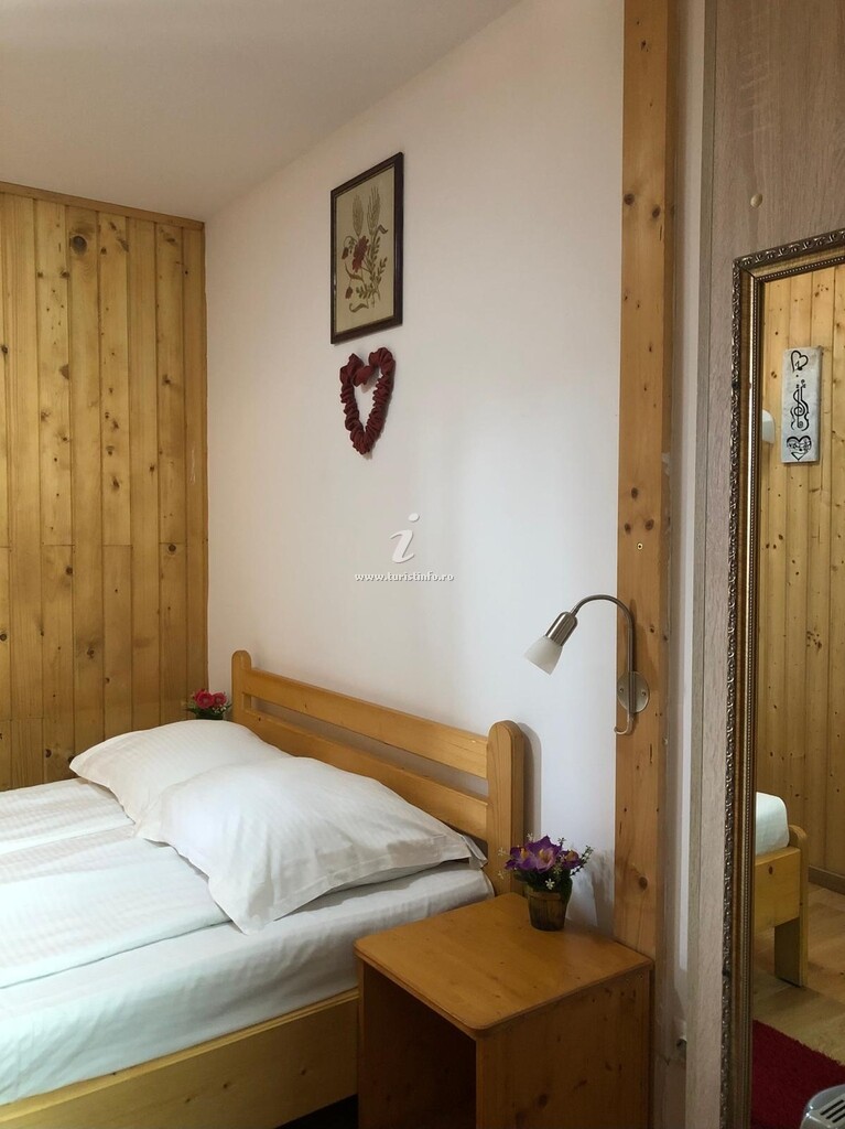 Casa de vacanță Casa Karol