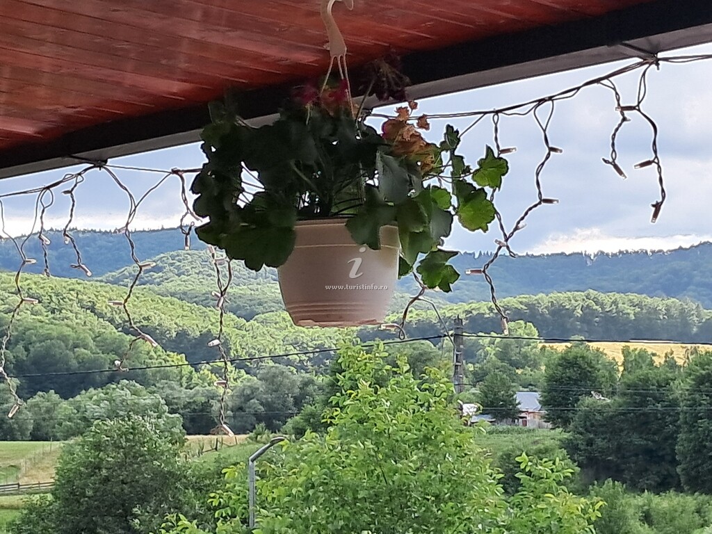 Bucovina - Plai Străbun