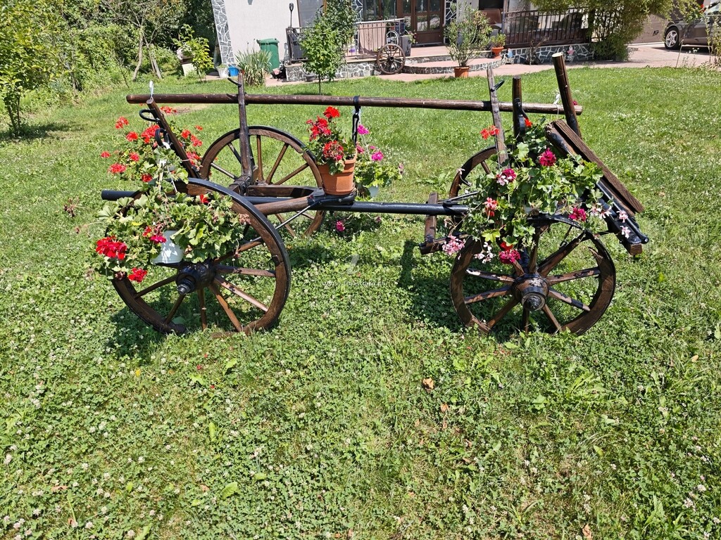 Pensiunea Casa Irina