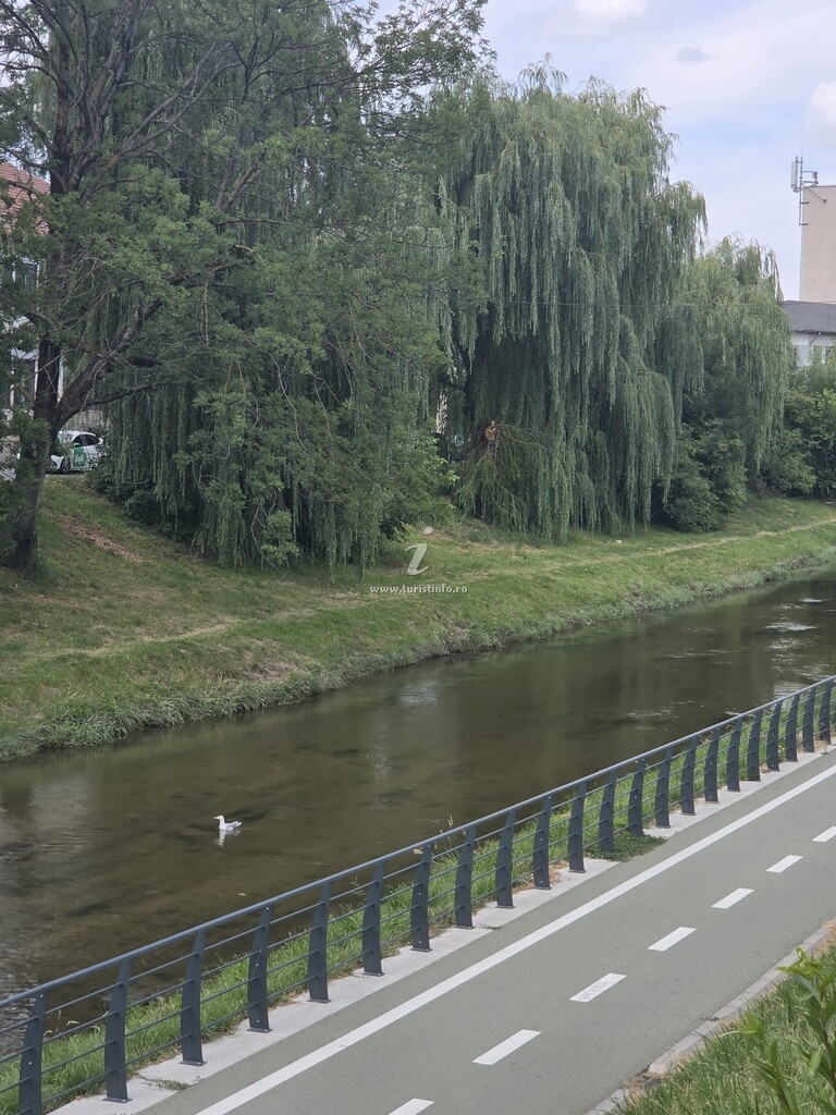 Pensiunea Leia