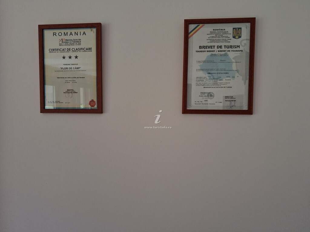 Pensiunea Flori de Câmp