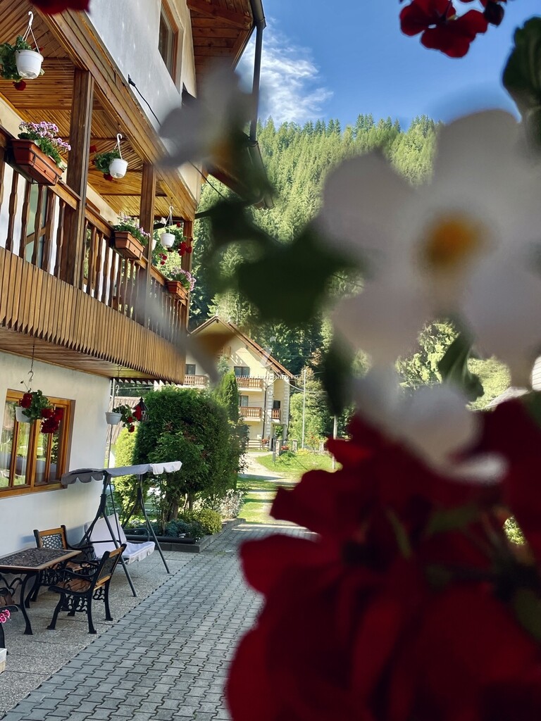 Casa Izvor de munte
