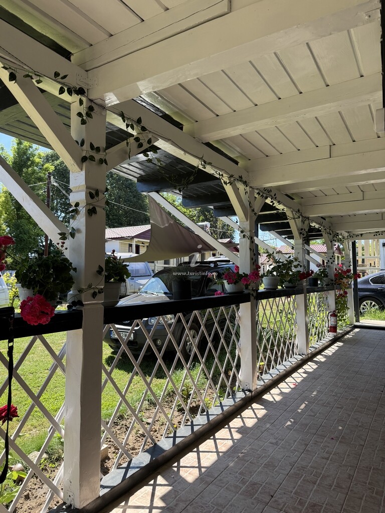 Camping Daviami Camp