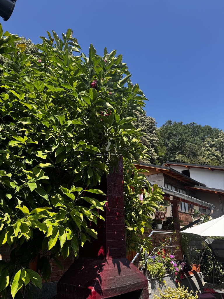 Casa Livache