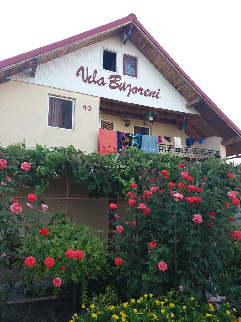 Casa Bujoreni 1