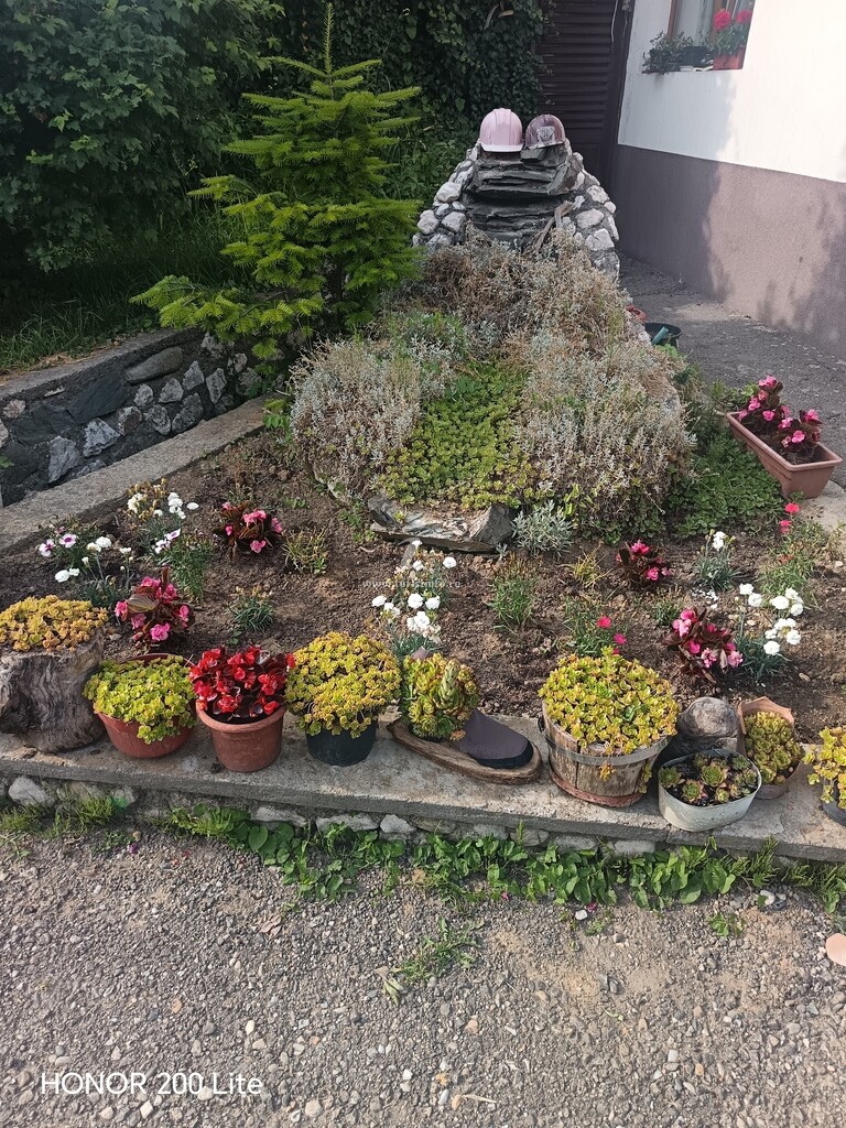 Pensiunea Roata Norocului