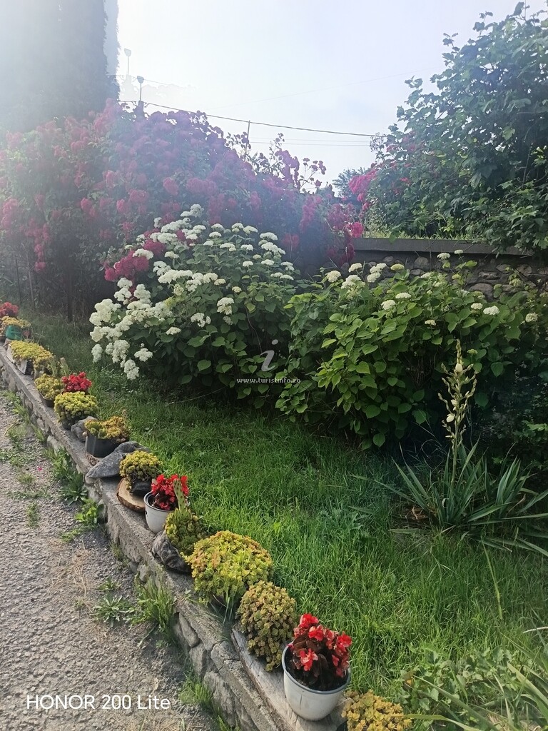 Pensiunea Roata Norocului