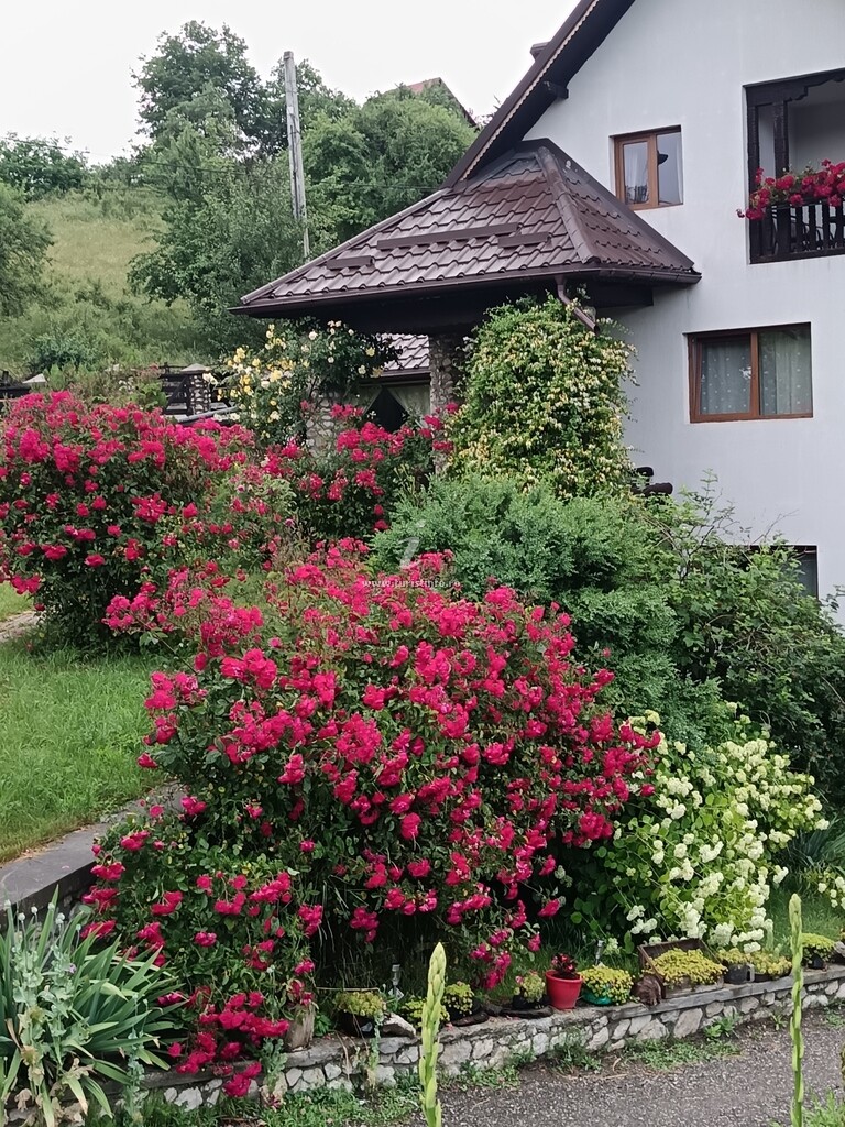 Pensiunea Roata Norocului