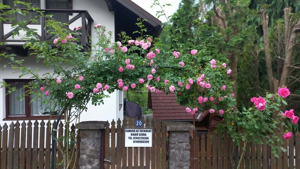 Casa de vacanță Doi Brazi