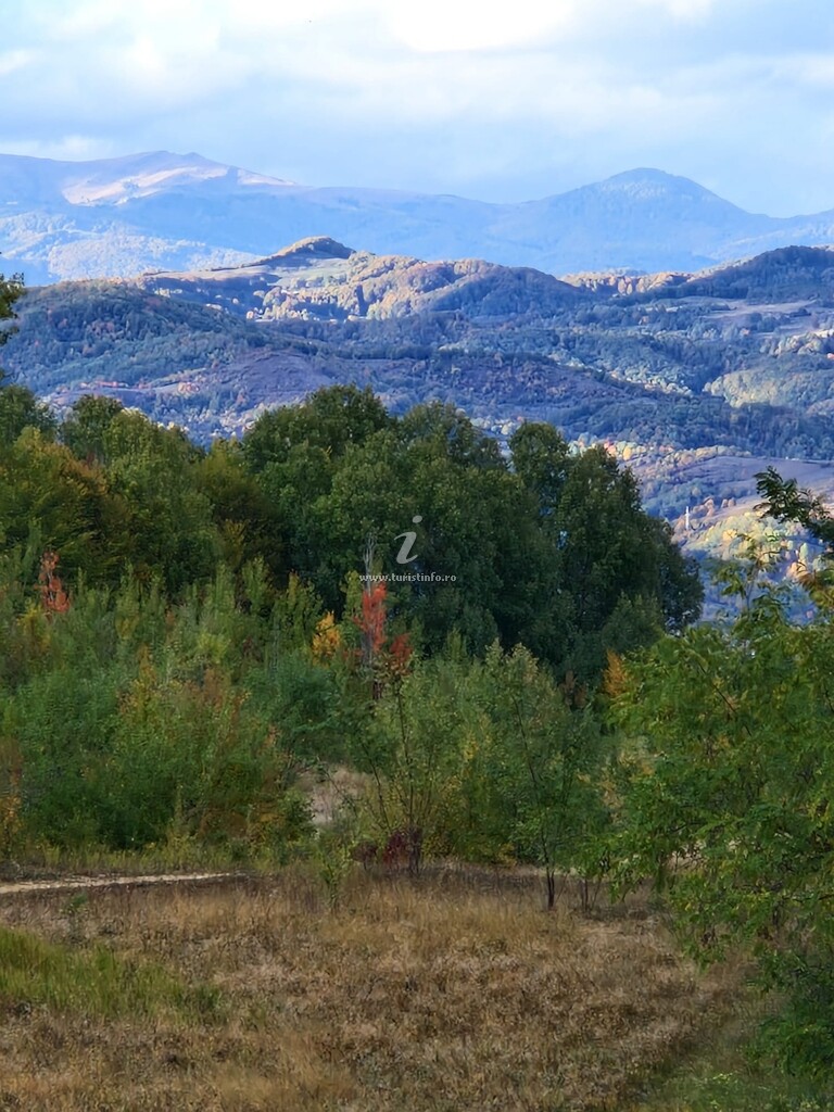 Cabana Dom cu Vederi Spectaculoase