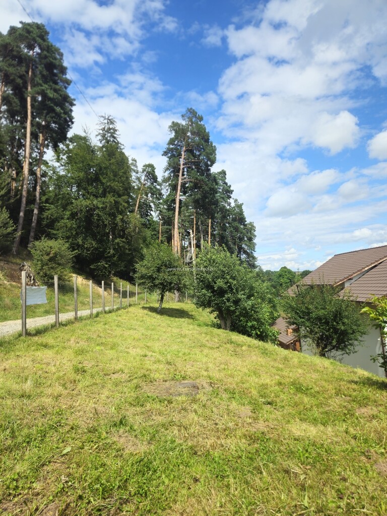 Pensiunea de sub Pădure