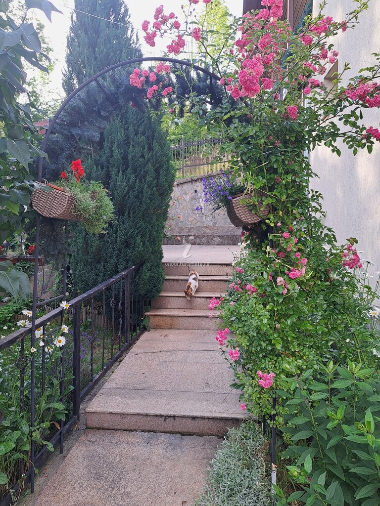 Casa Dobre