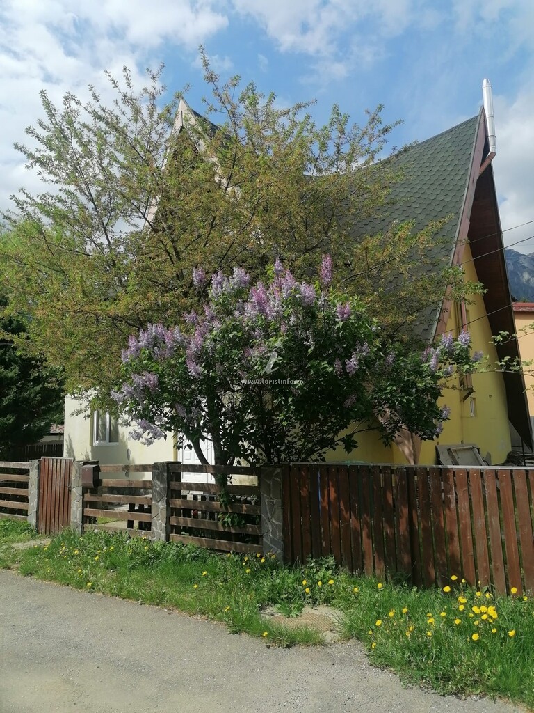 Vila Mihăiță