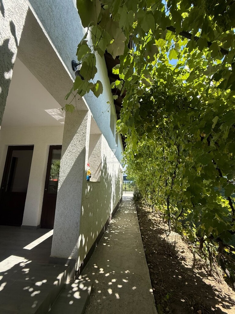 Vila Maestar