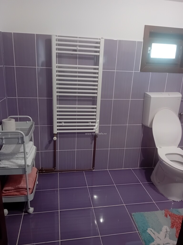 Cabana Dealu Rășinarului