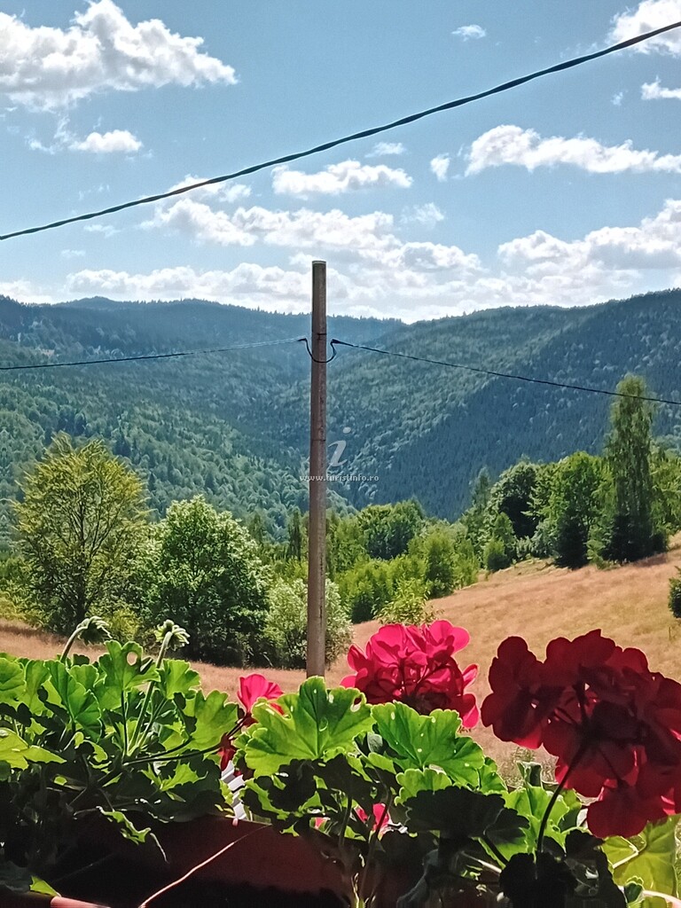 Cabana Dealu Rășinarului