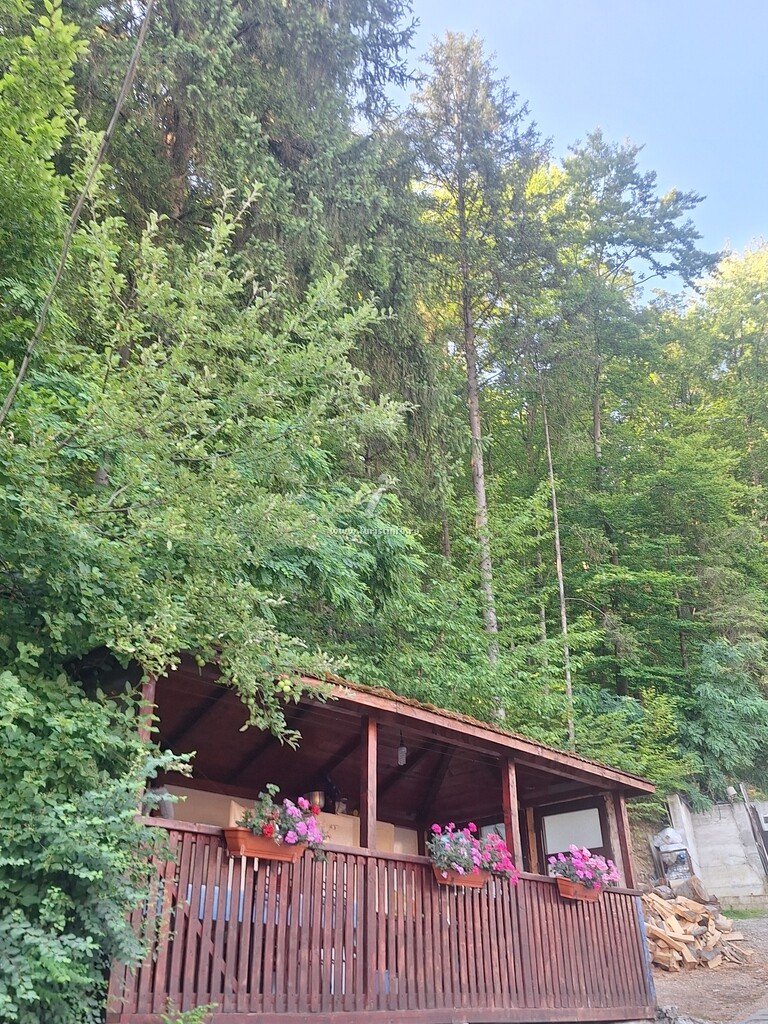 Vila Molidului