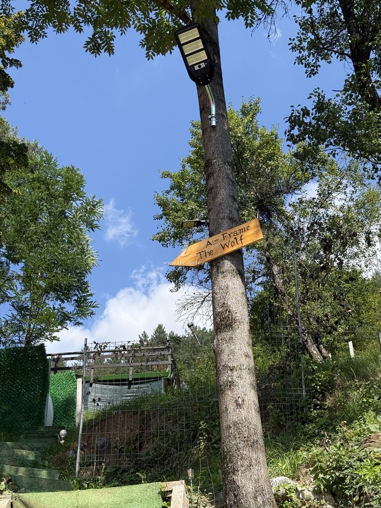 A-frame The Wolf Transfăgărășan
