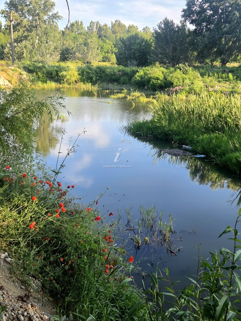 Casa de vacanță Paradisul Dunarii
