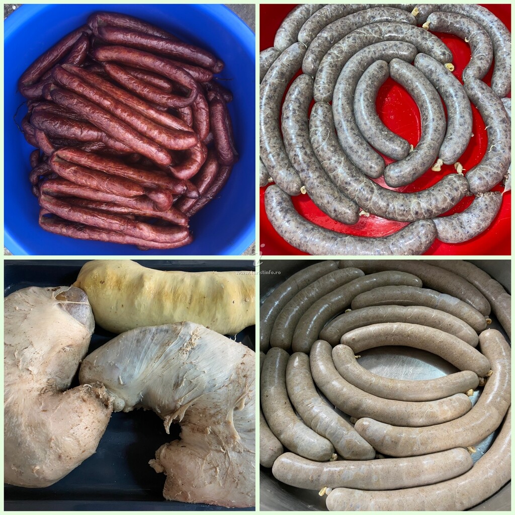 Pensiunea Agroturistica Casa Runc