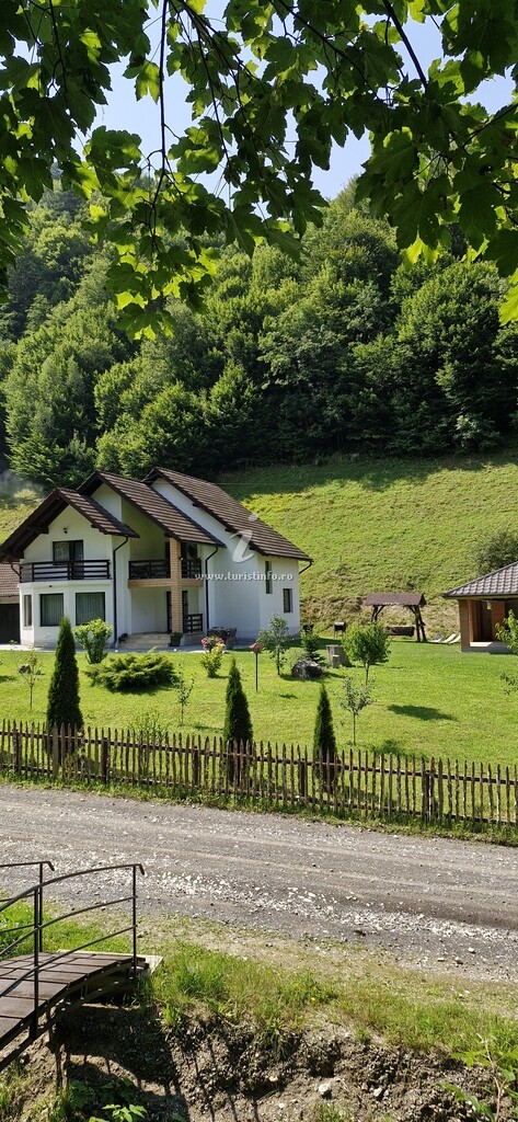 Cabana Valea Muntelui