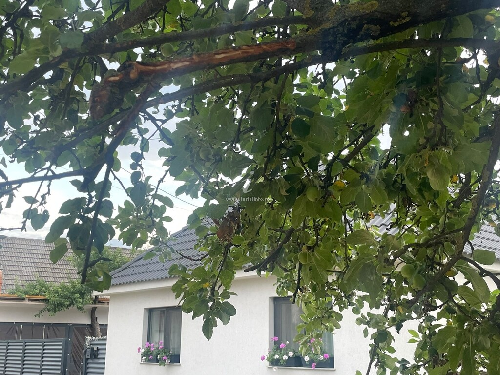 Casa de vacanță V-House