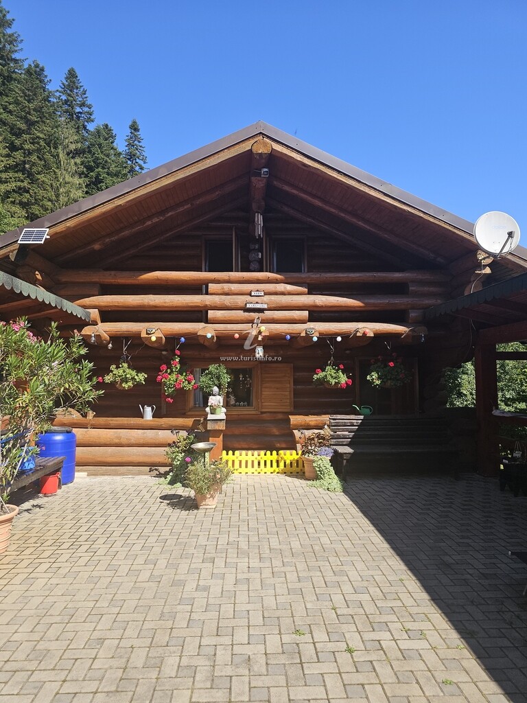 Căsuțele ABC