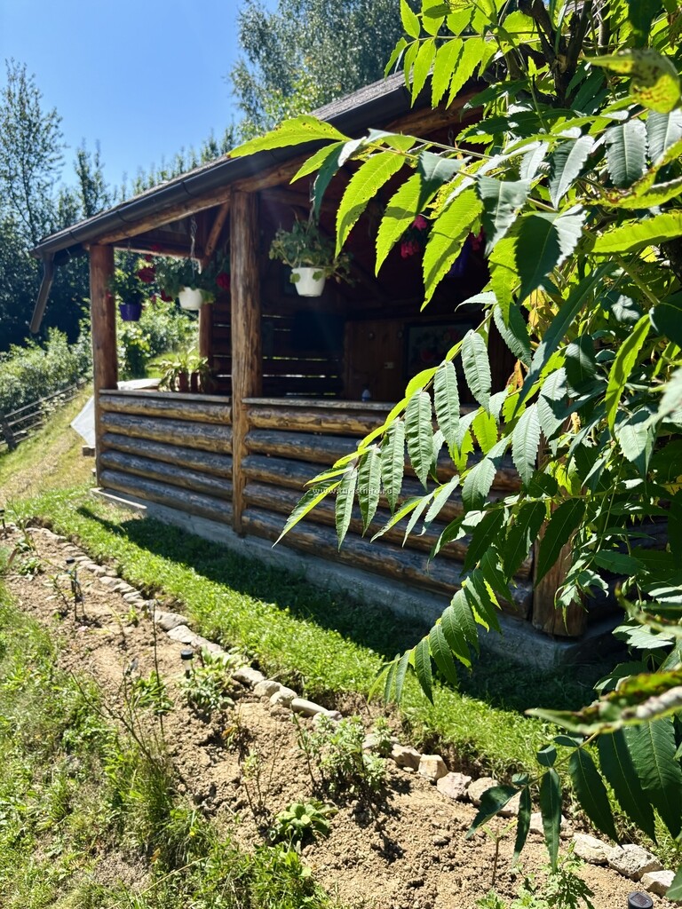 Pensiunea Village View