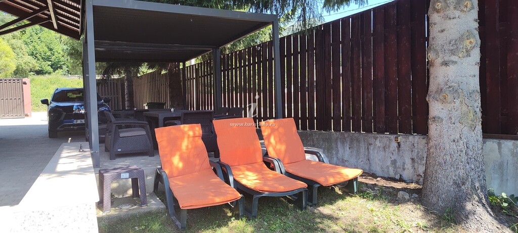 Camere de închiriat Verde Viu