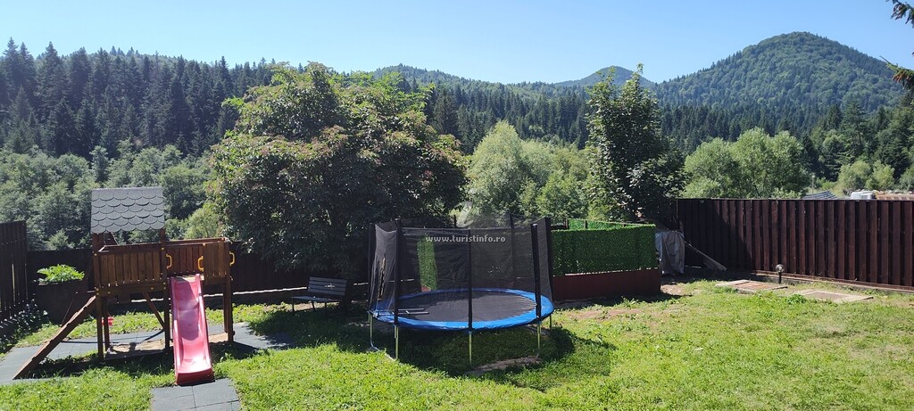 Camere de închiriat Verde Viu