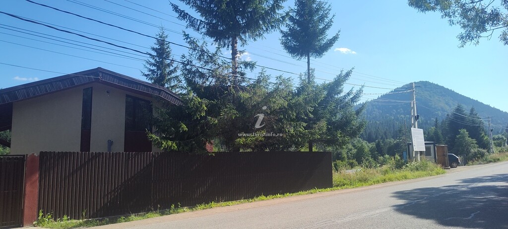 Camere de închiriat Verde Viu