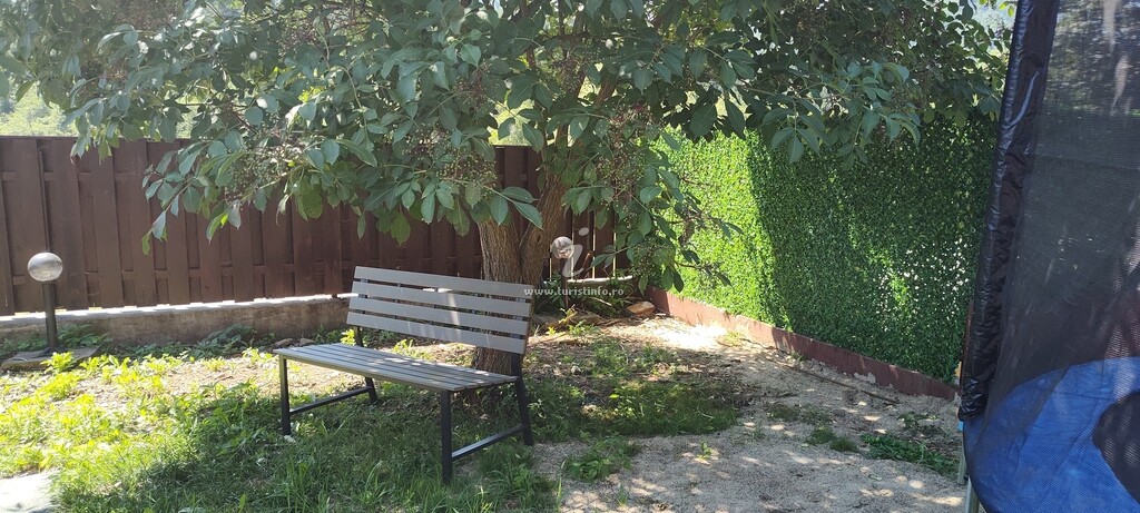 Camere de închiriat Verde Viu
