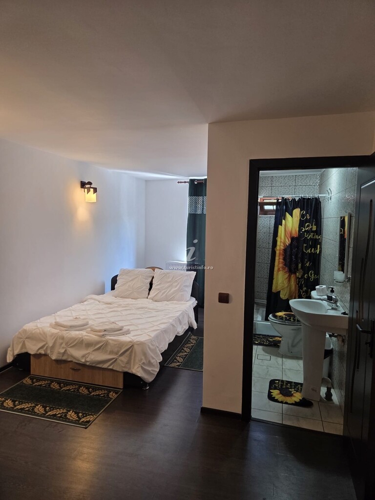 Pensiunea Casa Robert