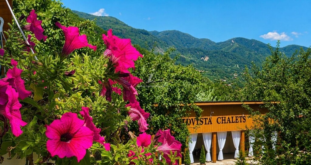Triovista Chalets