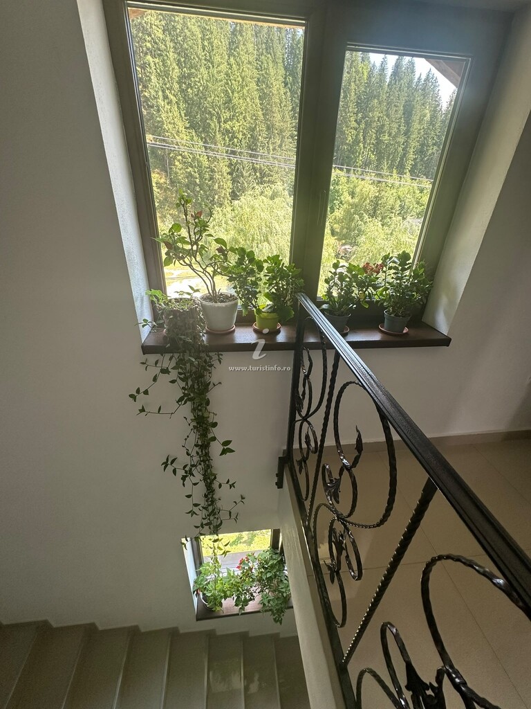 Pensiunea Maison Platanus