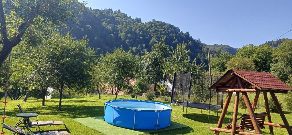 Camere de închiriat Andy