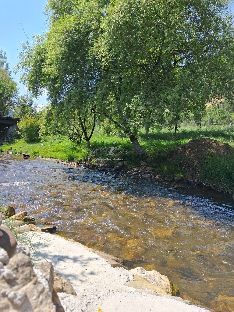 Casa de vacanță Flori