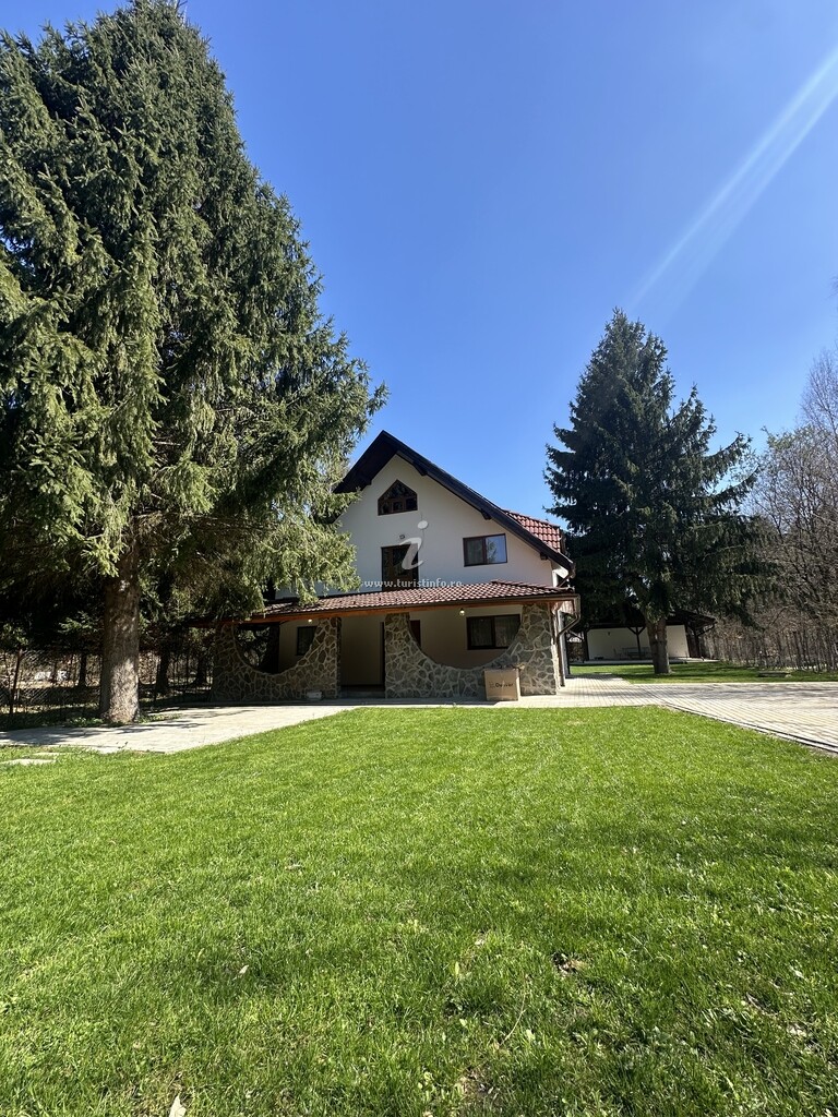 Forest House