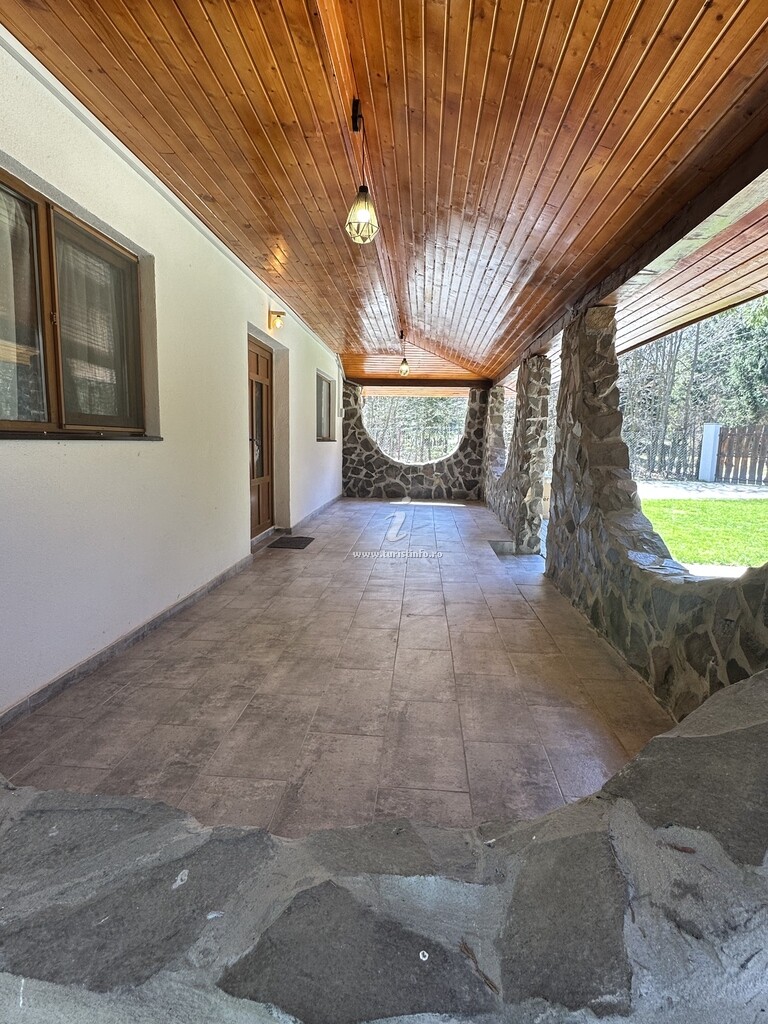 Forest House
